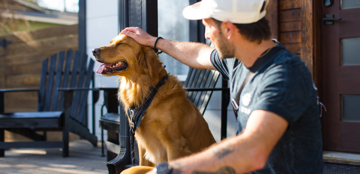 L'impact des chiens et des chats sur notre santé mentale