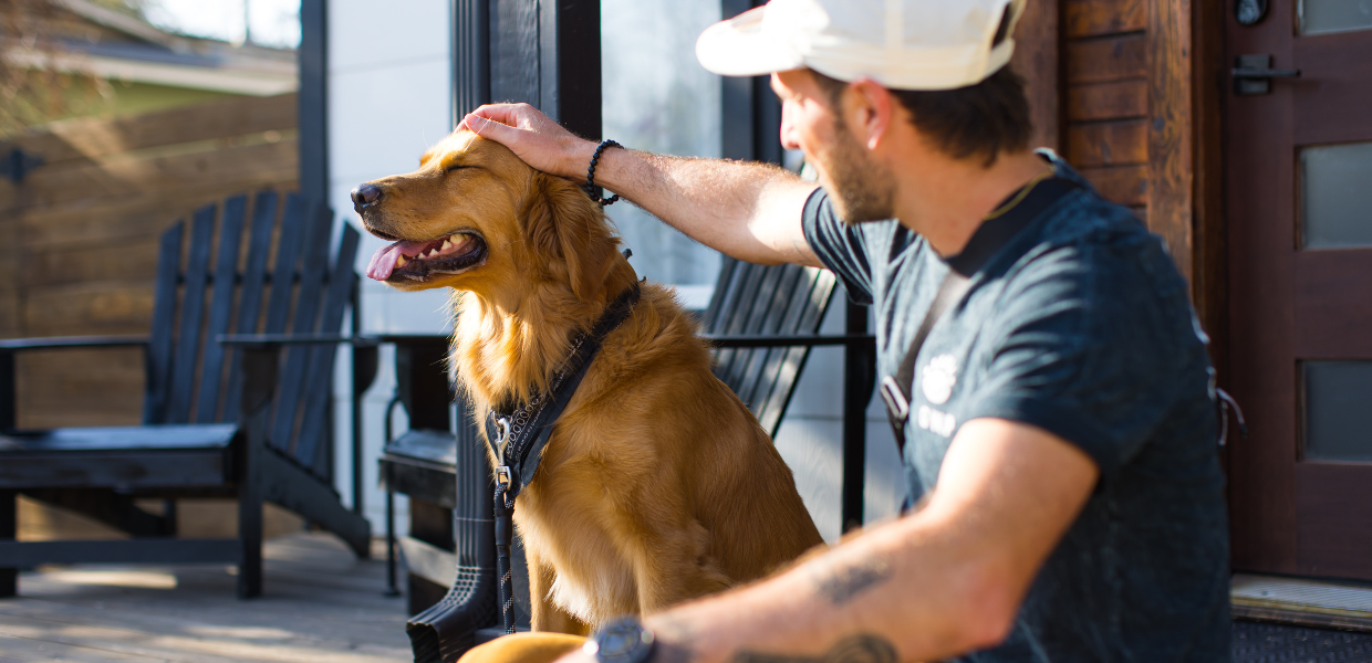 L'impact des chiens et des chats sur notre santé mentale