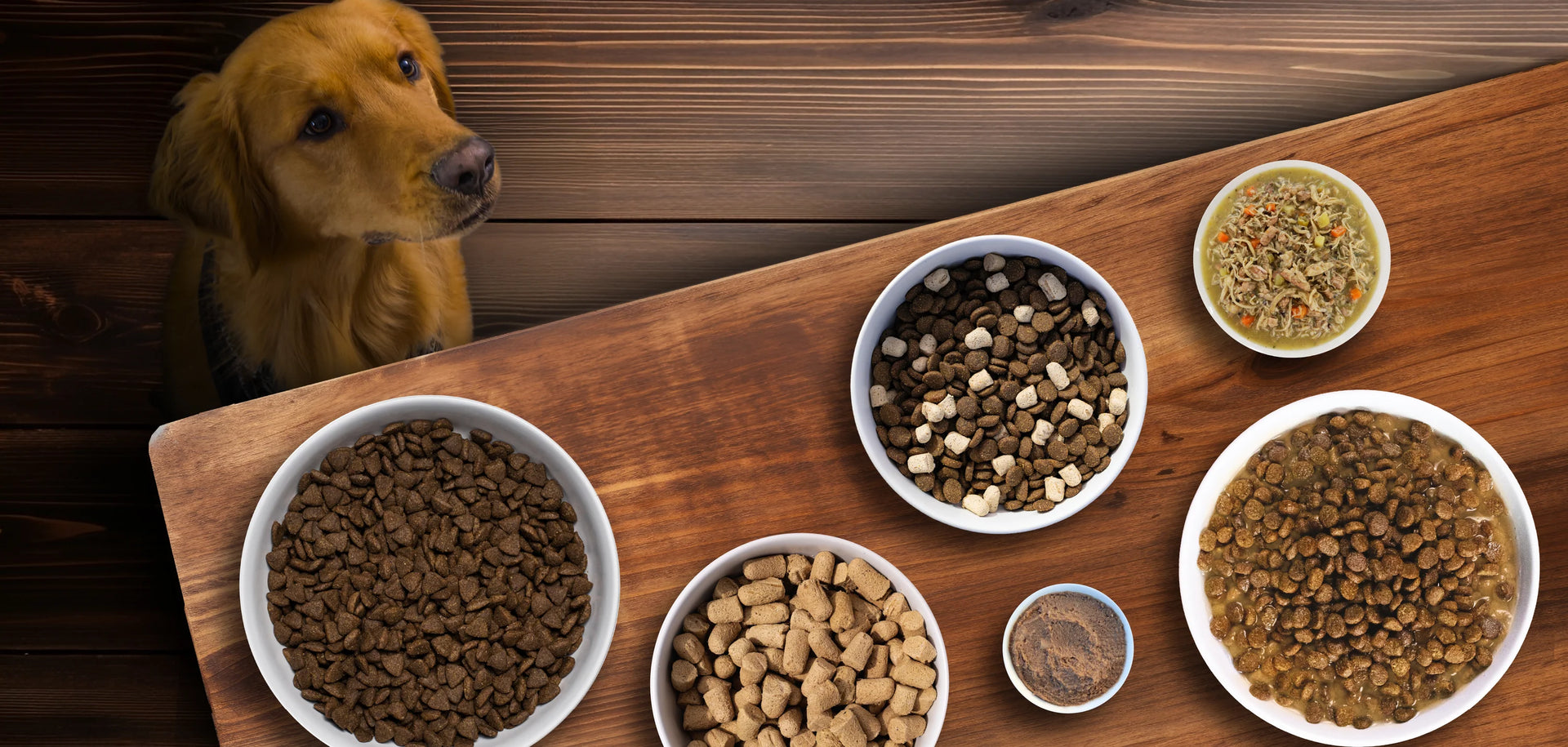 Découvrez Nulo pour chiens