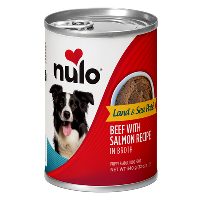 Recette de pâté au bœuf et au saumon pour chiens Nulo