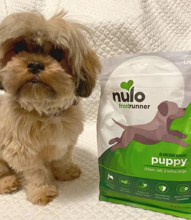 Une alimentation équilibrée pour les chiots