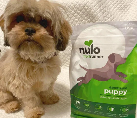 Une alimentation équilibrée pour les chiots